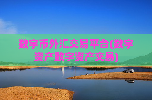 数字币外汇交易平台(数字资产数字资产交易)
