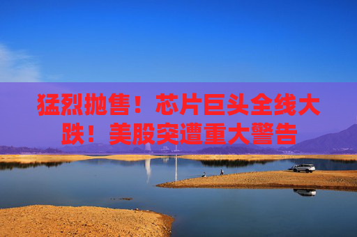 猛烈抛售!芯片巨头全线大跌!美股突遭重大警告