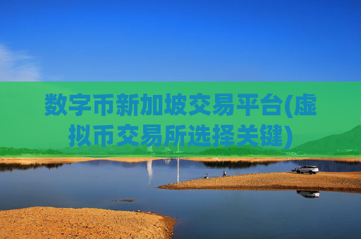 数字币新加坡交易平台(虚拟币交易所选择关键)