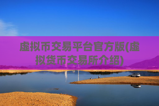 虚拟币交易平台官方版(虚拟货币交易所介绍)