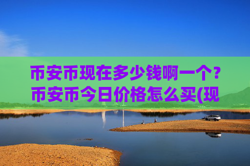 币安币现在多少钱啊一个?币安币今日价格怎么买(现价4912.19元)