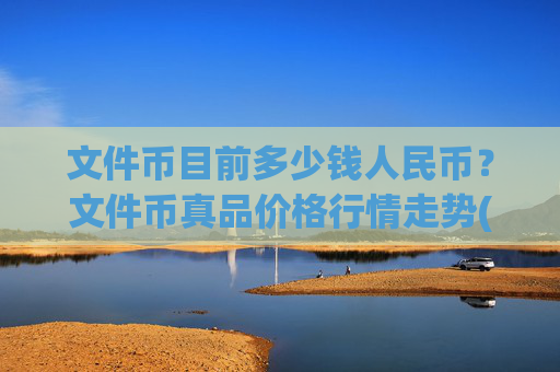 文件币目前多少钱人民币?文件币真品价格行情走势(现价38.3114元)