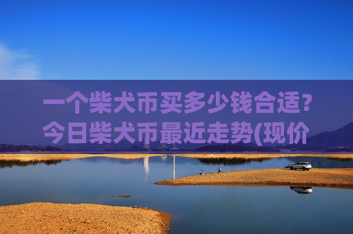 一个柴犬币买多少钱合适？今日柴犬币最近走势(现价0.00016226元)