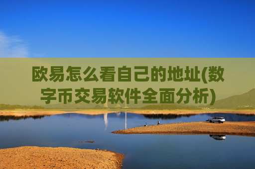 欧易怎么看自己的地址(数字币交易软件全面分析)