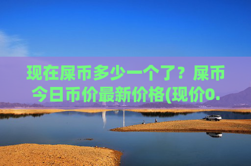 现在屎币多少一个了?屎币今日币价最新价格(现价0.00016206元)