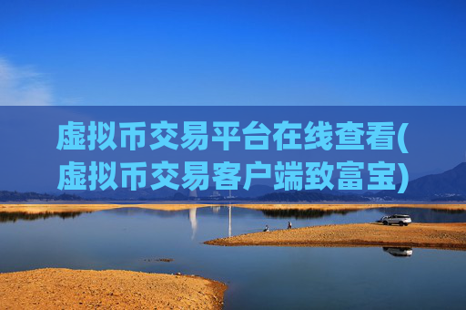 虚拟币交易平台在线查看(虚拟币交易客户端致富宝)