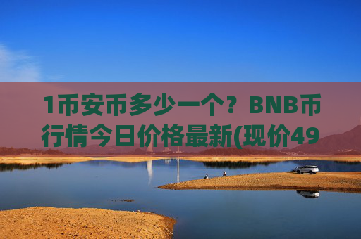 1币安币多少一个？BNB币行情今日价格最新(现价4919.44元)