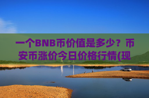 一个BNB币价值是多少？币安币涨价今日价格行情(现价4928.14元)