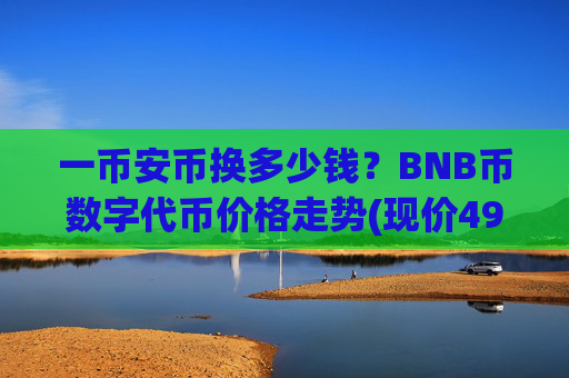 一币安币换多少钱?BNB币数字代币价格走势(现价4908.37元)