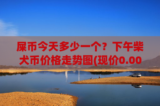 屎币今天多少一个？下午柴犬币价格走势图(现价0.00015608元)