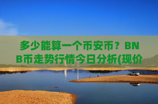 多少能算一个币安币？BNB币走势行情今日分析(现价4899.08元)