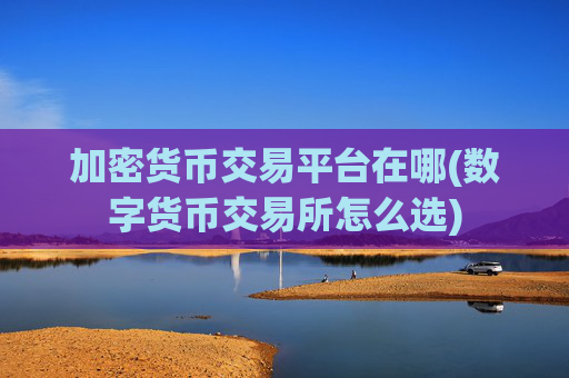 加密货币交易平台在哪(数字货币交易所怎么选)