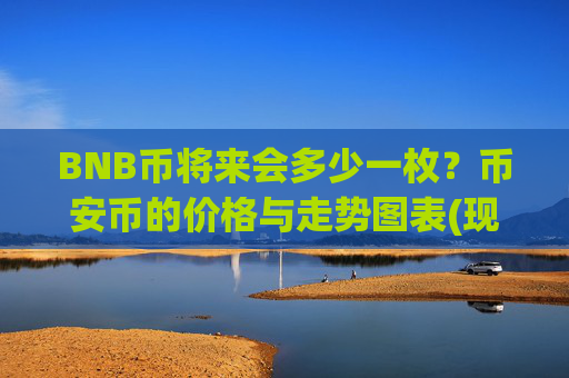 BNB币将来会多少一枚?币安币的价格与走势图表(现价4918.25元)