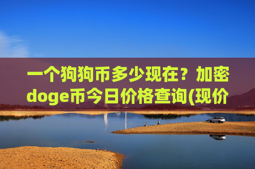 一个狗狗币多少现在?加密doge币今日价格查询(现价2.2813元)