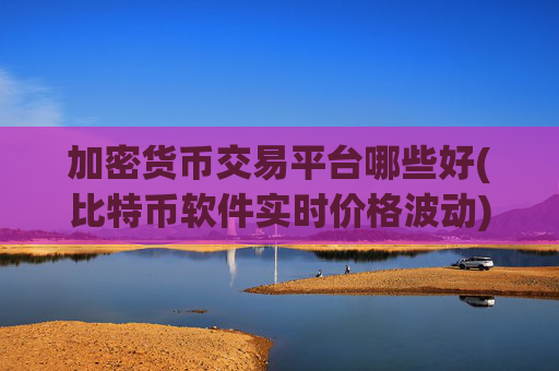 加密货币交易平台哪些好(比特币软件实时价格波动)
