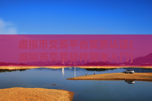 虚拟币交易平台实名认证(虚拟币交易软件简单入门)