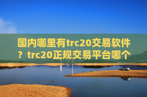 国内哪里有trc20交易软件?trc20正规交易平台哪个好