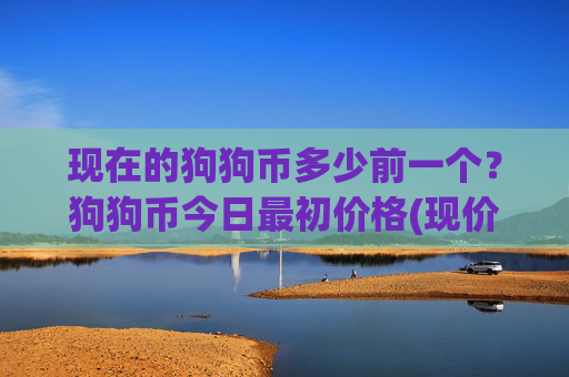 现在的狗狗币多少前一个?狗狗币今日最初价格(现价2.329元)