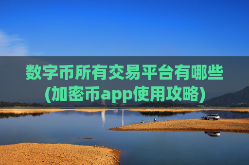 数字币所有交易平台有哪些(加密币app使用攻略)