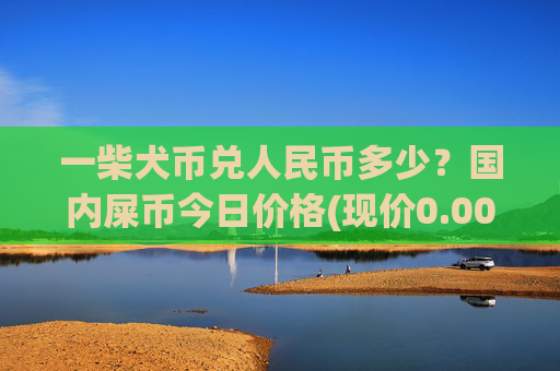 一柴犬币兑人民币多少?国内屎币今日价格(现价0.00015713元)