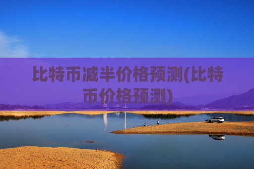 比特币减半价格预测(比特币价格预测)