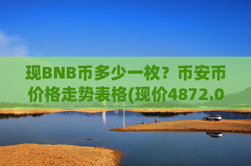 现BNB币多少一枚?币安币价格走势表格(现价4872.05元)