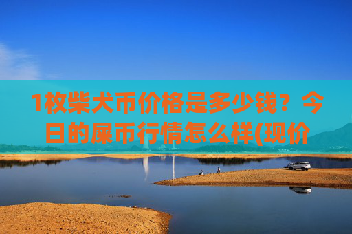 1枚柴犬币价格是多少钱？今日的屎币行情怎么样(现价0.00015976元)