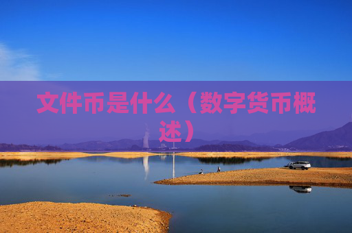 文件币是什么（数字货币概述）