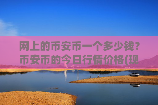 网上的币安币一个多少钱?币安币的今日行情价格(现价4930.57元)