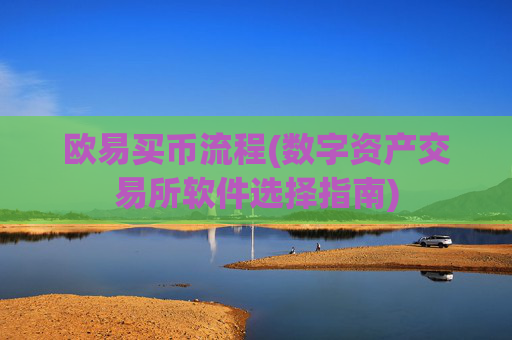 欧易买币流程(数字资产交易所软件选择指南)