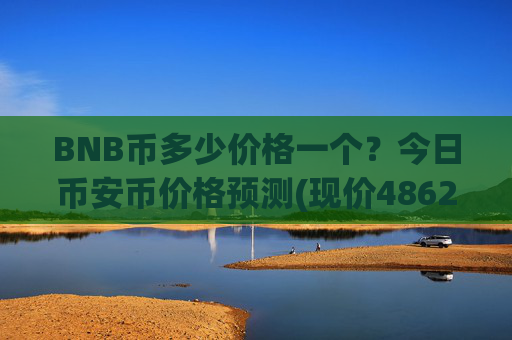 BNB币多少价格一个?今日币安币价格预测(现价4862.26元)