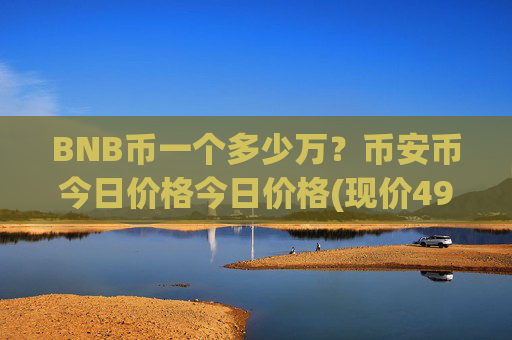 BNB币一个多少万？币安币今日价格今日价格(现价4927.91元)