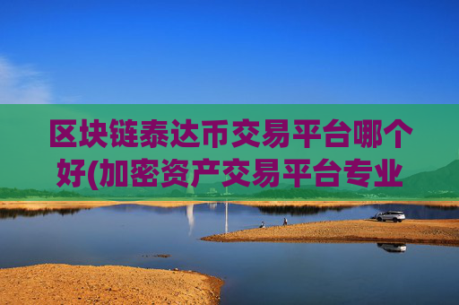 区块链泰达币交易平台哪个好(加密资产交易平台专业度)