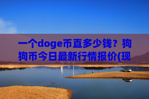 一个doge币直多少钱？狗狗币今日最新行情报价(现价2.3075元)