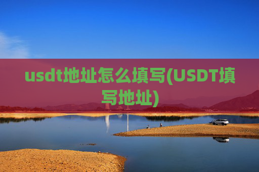 usdt地址怎么填写(USDT填写地址)