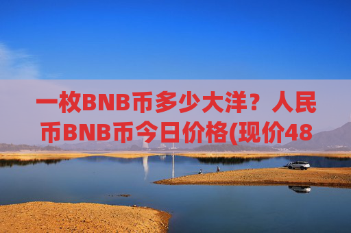 一枚BNB币多少大洋？人民币BNB币今日价格(现价4875.35元)