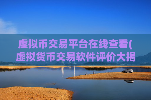 虚拟币交易平台在线查看(虚拟货币交易软件评价大揭秘)