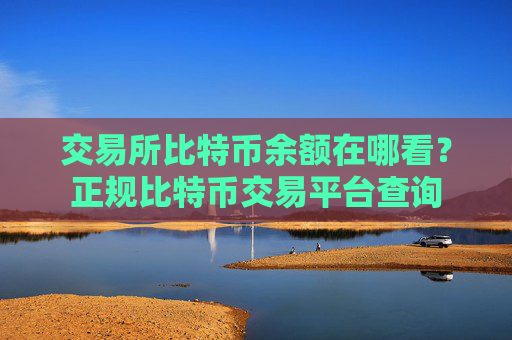 交易所比特币余额在哪看？正规比特币交易平台查询