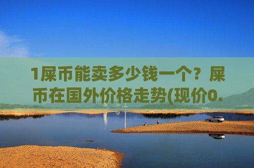 1屎币能卖多少钱一个?屎币在国外价格走势(现价0.00016371元)