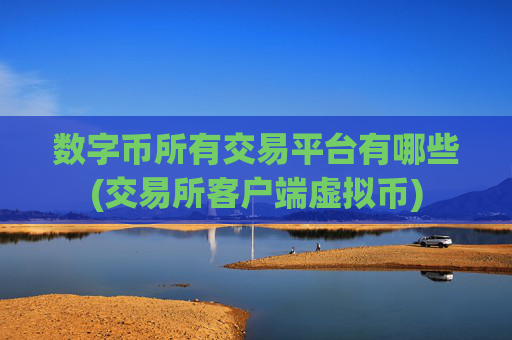 数字币所有交易平台有哪些(交易所客户端虚拟币)