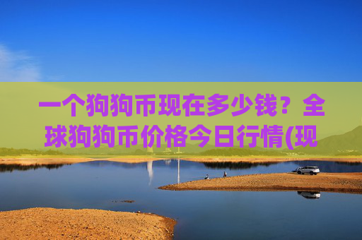 一个狗狗币现在多少钱？全球狗狗币价格今日行情(现价2.3084元)