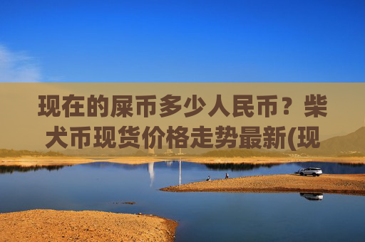 现在的屎币多少人民币?柴犬币现货价格走势最新(现价0.00016371元)
