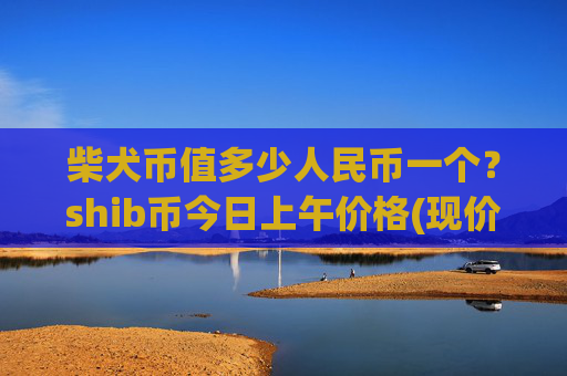 柴犬币值多少人民币一个?shib币今日上午价格(现价0.000164元)