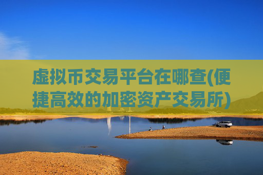 虚拟币交易平台在哪查(便捷高效的加密资产交易所)