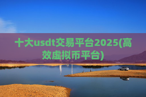 十大usdt交易平台2025(高效虚拟币平台)