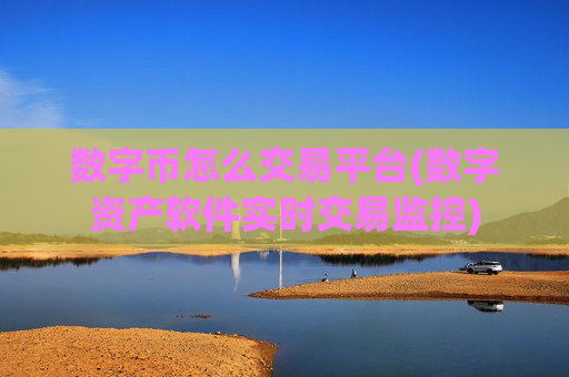 数字币怎么交易平台(数字资产软件实时交易监控)