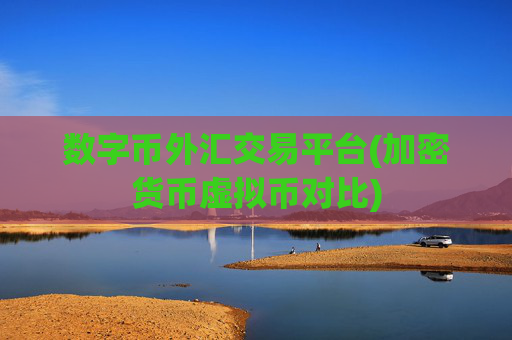 数字币外汇交易平台(加密货币虚拟币对比)