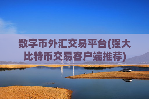 数字币外汇交易平台(强大比特币交易客户端推荐)
