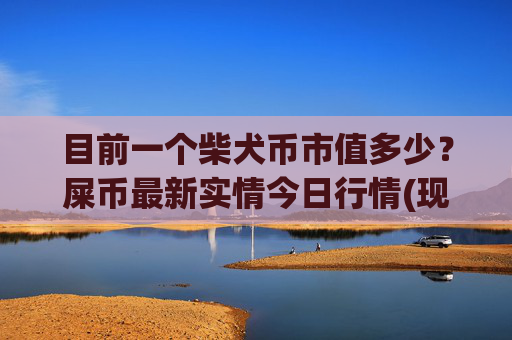 目前一个柴犬币市值多少?屎币最新实情今日行情(现价0.0001616元)