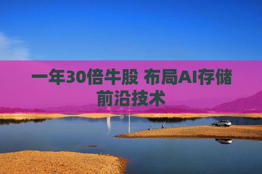 一年30倍牛股 布局AI存储前沿技术